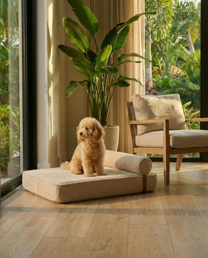 The Modern Day Bed — Boucle Lounge Dog Bed | High-Density Foam, Waterproof Lined, Washable - Megan and Moss Co