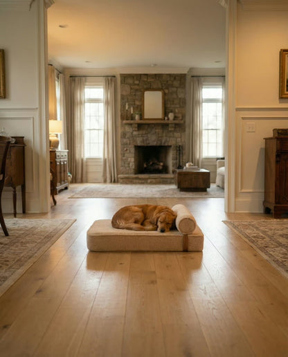 The Modern Day Bed — Boucle Lounge Dog Bed | High-Density Foam, Waterproof Lined, Washable - Megan and Moss Co