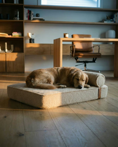 The Modern Day Bed — Boucle Lounge Dog Bed | High-Density Foam, Waterproof Lined, Washable - Megan and Moss Co